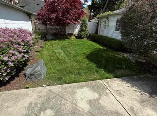 Daniel L.'s lawn care services service result