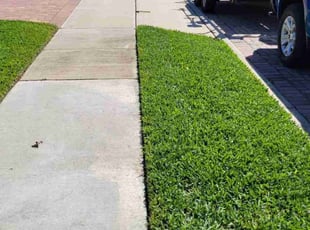Michael N.'s lawn care service result
