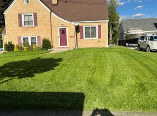 Dawn Z.'s lawn care service result