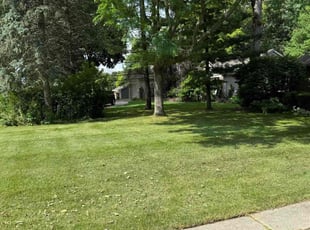 Steven W.'s lawn service service result