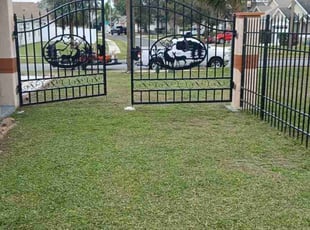 Alison B.'s turf care service result