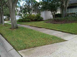 Sheldon C.'s grass cutting service result