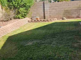 Alan C.'s grass maintenance service result