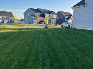 Matthew P.'s grass maintenance service result