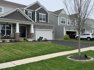 Tyler M.'s lawn maintenance service result