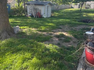 Haylee W.'s lawn maintenance service result