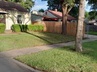 Meghan K.'s turf maintenance service result
