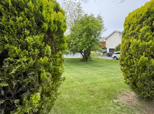 Shannon M.'s lawn care services service result