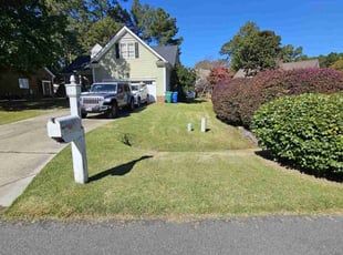 Mike P.'s lawn care service result