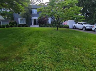 Jacqueline G.'s turf maintenance service result