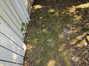Thomas K.'s grass maintenance service result