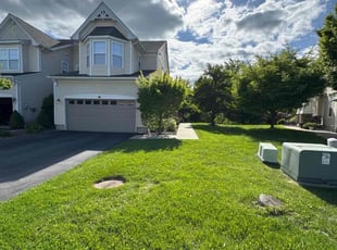 Daniel L.'s grass cutting service result