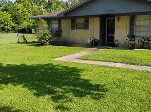 Naeem P.'s lawn service service result