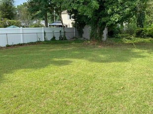 Myana H.'s lawn maintenance service result