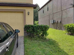 Melissa A.'s Bush Trimming service result