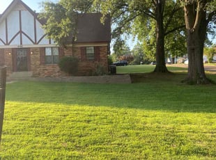 Kelly M.'s lawn maintenance service result
