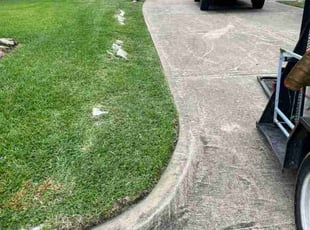 Rachel G.'s turf care service result