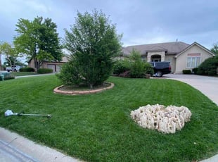 Sonya W.'s lawn maintenance service result