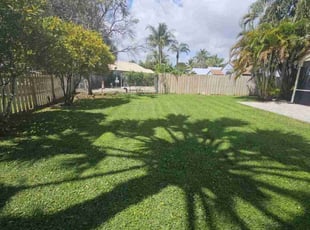 Mike B.'s turf care service result