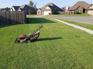 Michele A.'s grass maintenance service result