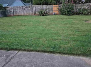 Brittany H.'s lawn care service result