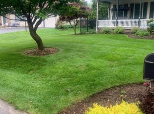 Vernon K.'s grass maintenance service result