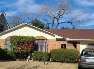 Mark B.'s Bush Trimming service result