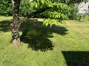 Bryana B.'s grass cutting service result