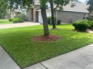 Meghan T.'s lawn care services service result