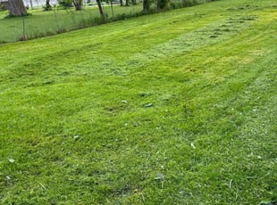 Shirley E.'s lawn service service result