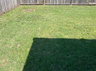 Jackie E.'s lawn service service result