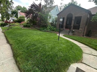 Barry M.'s lawn maintenance service result