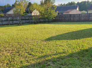 Sterling A.'s lawn maintenance service result