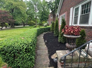 Whitney M.'s Cleanups service result