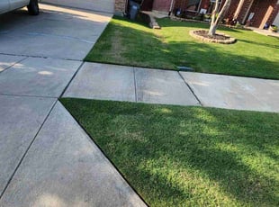 Daisy T.'s lawn care service result