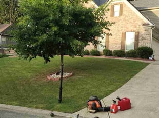 "Brook B.'s grass cutting service result