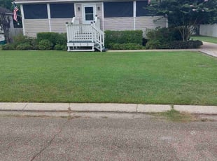 Michelle P.'s grass maintenance service result