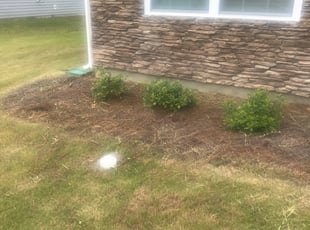 Rita G.'s Flower Bed Weeding service result