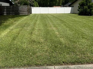 Clancy C.'s lawn service service result