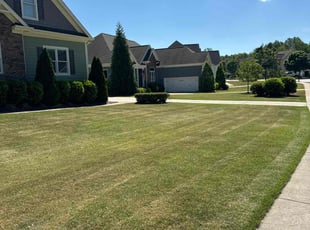 Alexandria D.'s grass cutting service result