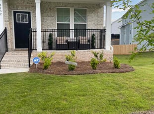 Azmira L.'s Bush Trimming service result