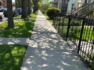 Raymell E.'s lawn care service result