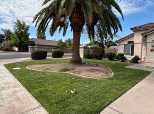 Erica W.'s lawn care service result