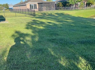 Darlene S.'s turf maintenance service result