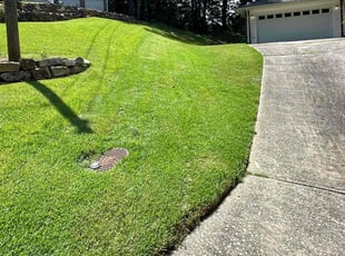 Susan C.'s lawn maintenance service result