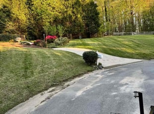 Kelly M.'s grass maintenance service result