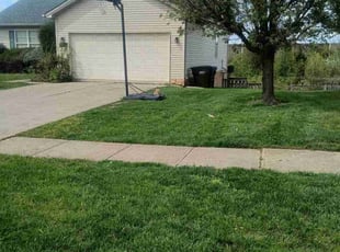 Richard ( Rick ) R.'s grass maintenance service result