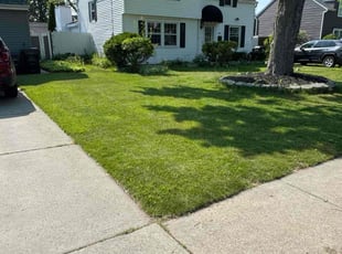 Debbie M.'s landscaping service result