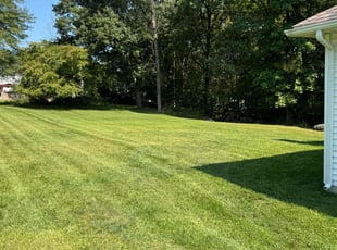 Ana M.'s lawn care services service result