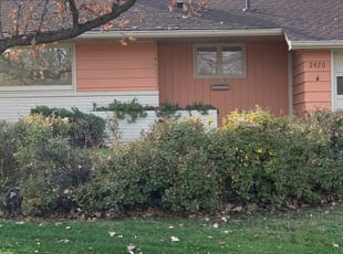 Kurtis K.'s Leaf Removal service result
